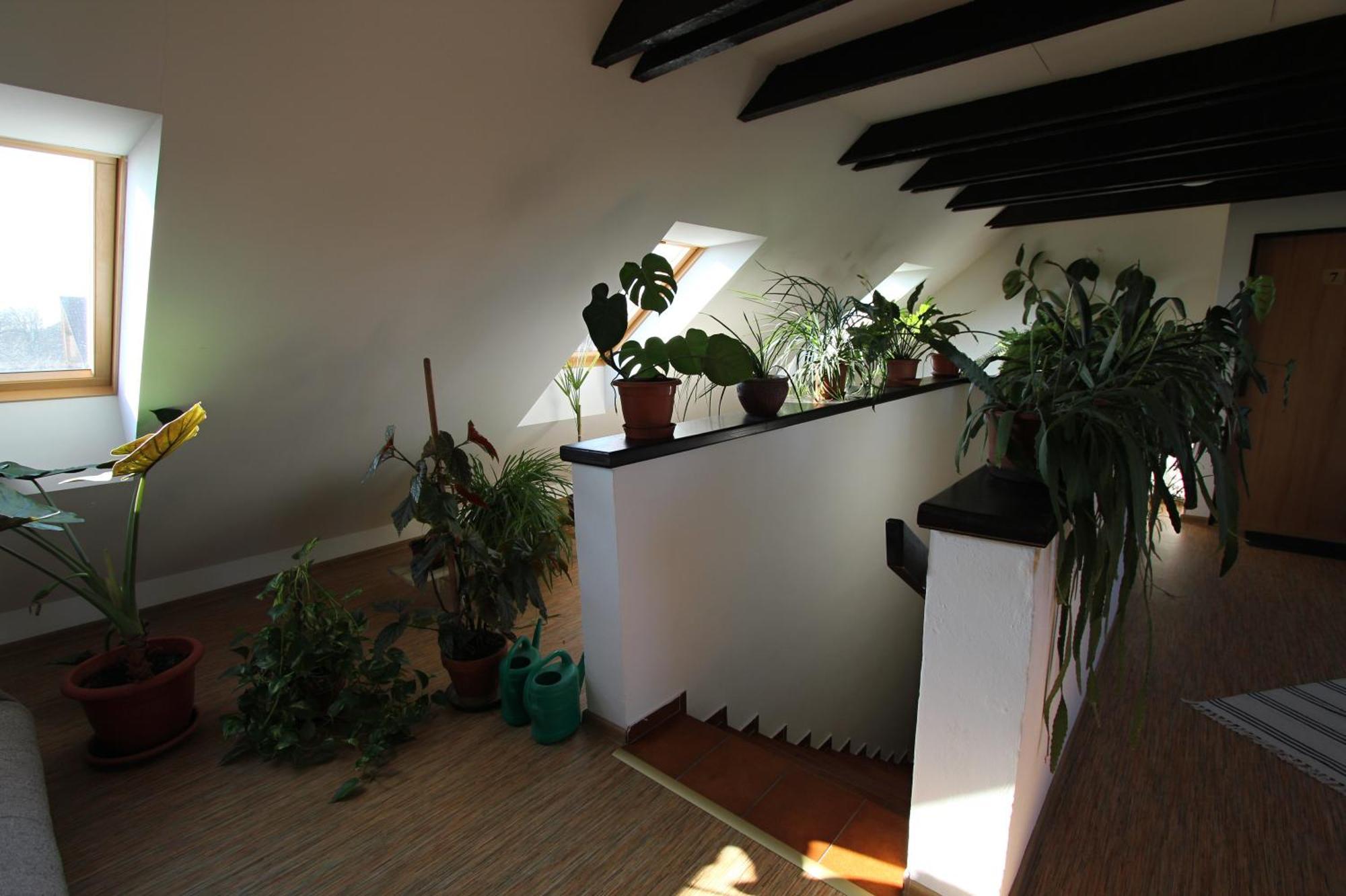 Pension U Svateho Jana Hradec Kralove Exterior foto