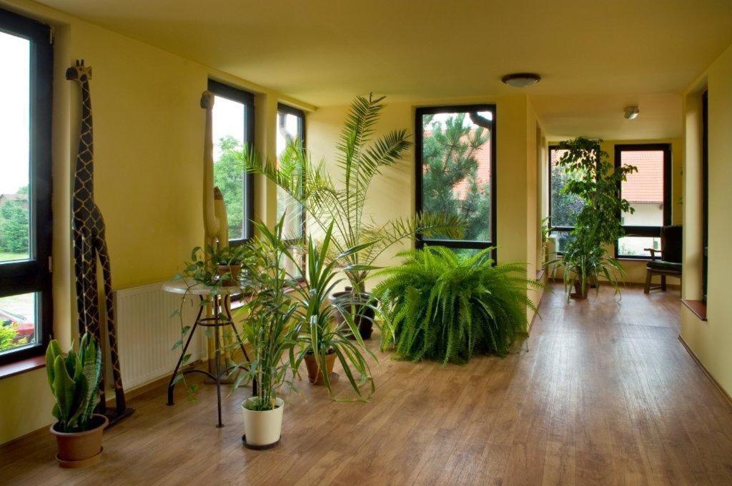 Pension U Svateho Jana Hradec Kralove Exterior foto